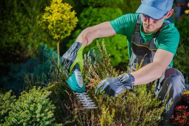 landscaping services Ferguson